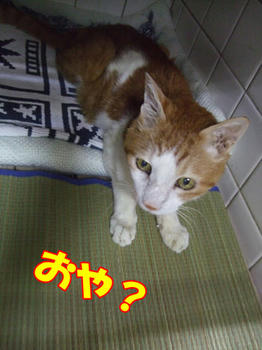 w(￣o￣)w ｵｵｰ!
