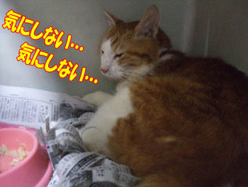 眠たい…