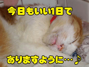 し・あ・わ・せ❤