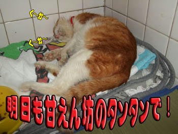 〆はやっぱり…