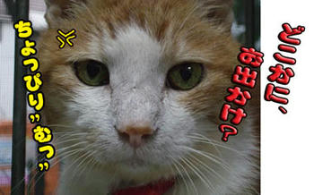 あら！そんな目で…