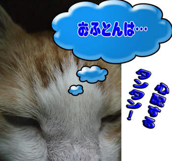 悩めるタンタン。