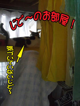 洗濯物の山！