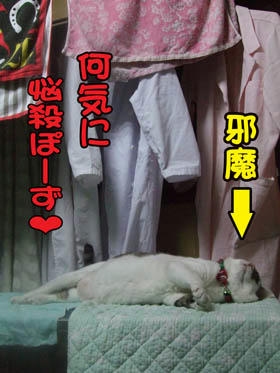 それが悩殺か？