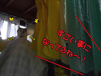 じどちゃん、湿気ちゃった。