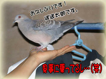 毎日来てます。