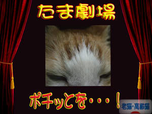 劇場型