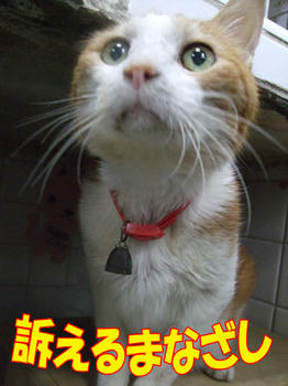 な、なにぃ？