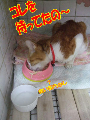 おお！