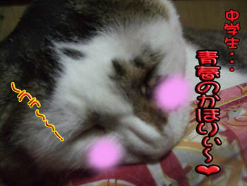 やっぱり・・・┐(￣ヘ￣）┌ ﾌｩｩ～