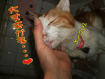 みんな居るでしょ❤