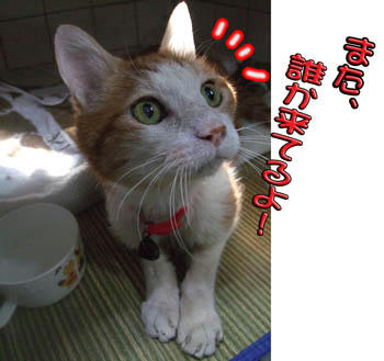 ビックリおめめ！