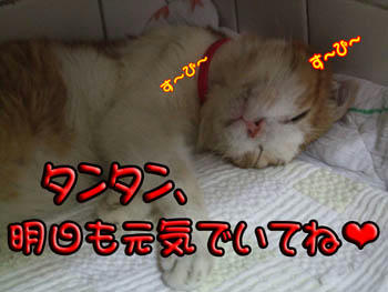 やっぱり爆睡❤