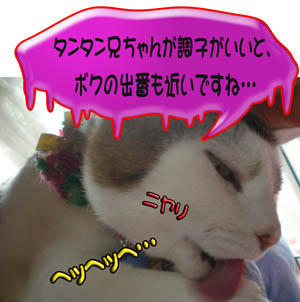 じど～の邪悪な想い！