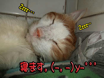 正しい一日♪