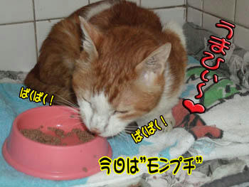 いっぱい食べなさい。(^^)ﾆｺ