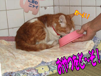 くんかくんか？