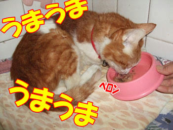 おいしい？
