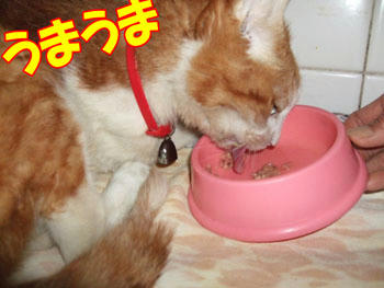 結構早いペースだね…！