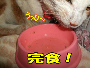 器がキレイだ～！