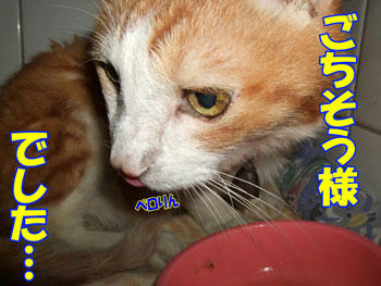 どういたしまして！