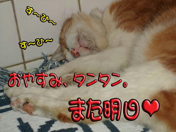 いつものように…