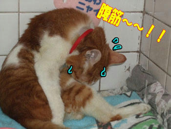気をつけて～～！