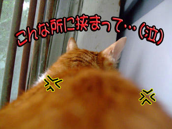 ﾑｶﾑｶ…((o(-゛-；)