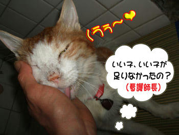 大好きだから…