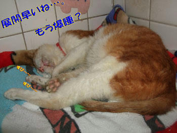 あれ??