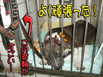 お疲れ様。