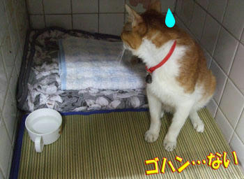 起きたの…?