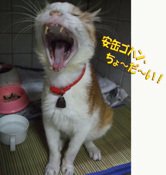 了解!
