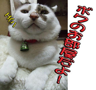 えらそ～！