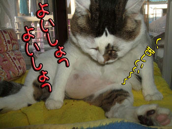 くはぁ～（笑）