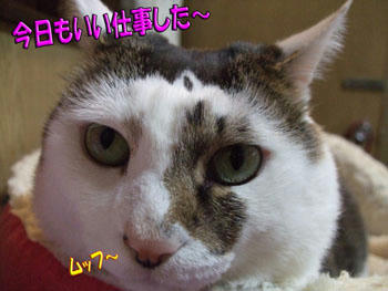 自信アリ！