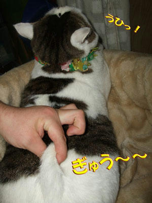 う~~ん