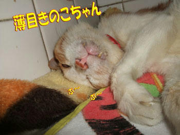 起きてない…よね?
