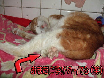 寒くない？