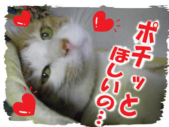 ありがとさんきゅっ♪v(*'-^*)^☆