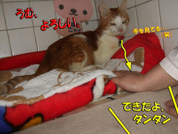 寝心地はいかが?