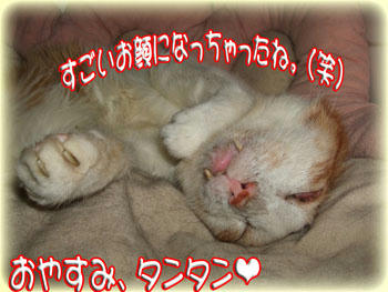 (≧○≦)お(≧◇≦)や(≧ｏ≦)す(≧▽≦)ﾉみ♪