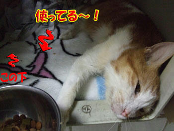 ｵｵｰw(*ﾟoﾟ*)w