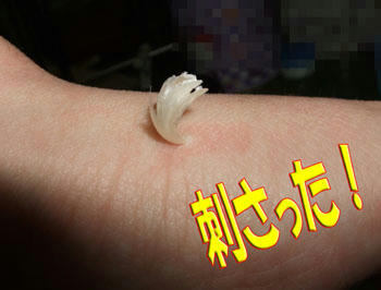 ｗ（￣△￣；）ｗおおっ！