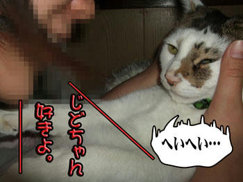 つれない返事…