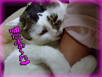 女心をつかむ！