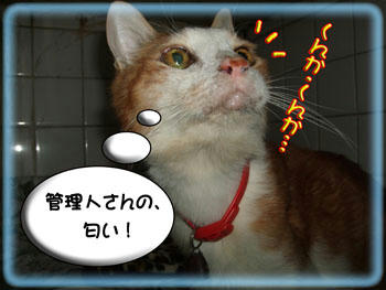 この匂いは…