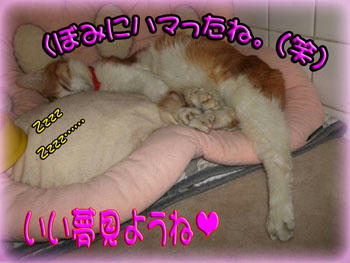 ｡o@(^-^)@o｡ﾆｺｯ♪