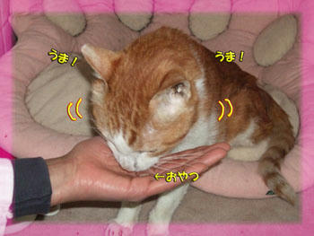 V(○⌒∇⌒○) ルンルン