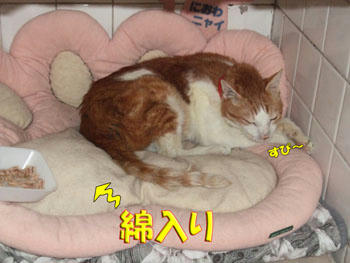 もこもこ！